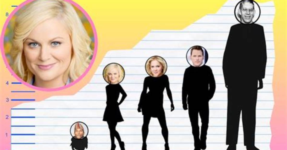 Amy Poehler Height, Weight, Measurements, Bra Size, Shoe Size