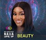 Bbnaija Season 7: “If Disqualified Beauty Was Still in the House Phyna Wouldn’t Have Been the Main Character “- Man Alleges