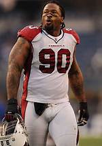 Darnell Dockett Net Worth, Income, Salary, Earnings, Biography