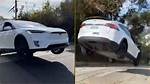 David Dobrik Tesla Jump Echo Park, Who Is Alex Choi? Youtuber Lambo Videos