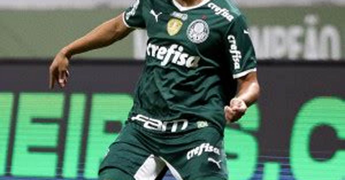 Gustavo Scarpa Height, Weight, Net Worth, Age, Birthday, Wikipedia, Who, Instagram, Biography
