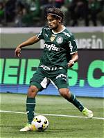 Gustavo Scarpa Height, Weight, Net Worth, Age, Birthday, Wikipedia, Who, Instagram, Biography