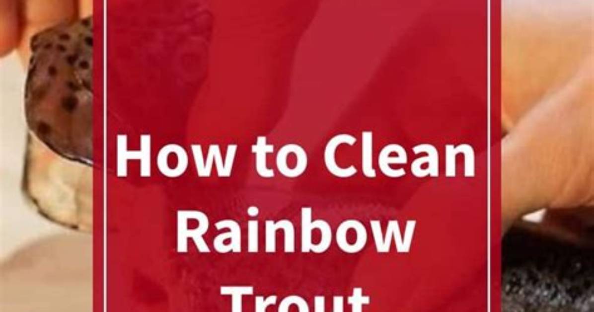 How to Clean Rainbow Trout