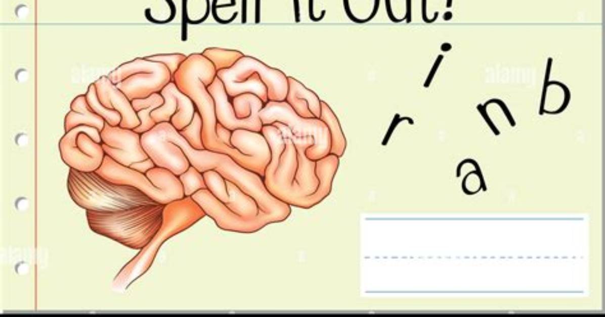 How to Spell Brain