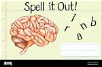 How to Spell Brain
