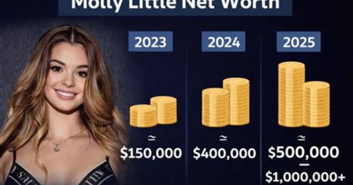 Little Kuriboh Net Worth, Income and Estimated Earnings of Youtuber Channel