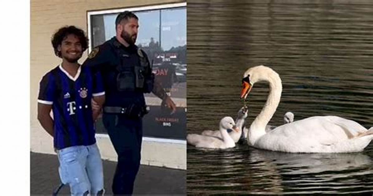 Manlius Ny Swan Killer Arrested: Video of 18-Year-Old Eman Hussen Smiling Upon His Arrest Leaves Netizens Enraged