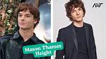 Mason Hilton Height, Weight, Net Worth, Age, Birthday, Wikipedia, Who, Nationality, Biography