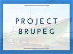 Project Brupeg Video Statistics