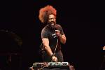 Reggie Watts Net Worth