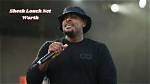 Sheek Louch Net Worth