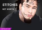 Stitches Net Worth