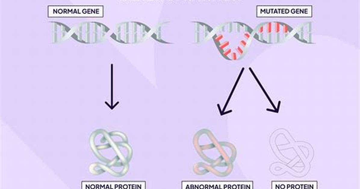 The Genetic Mutation That Causes Kraken Covid to Spread