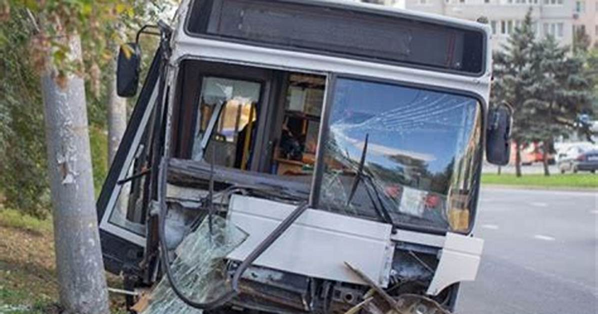 Watch: Gad Elmaleh Bus Accident Video – Is Comedian Dead or Alive?