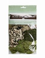 What Type of Consumer Is Moss