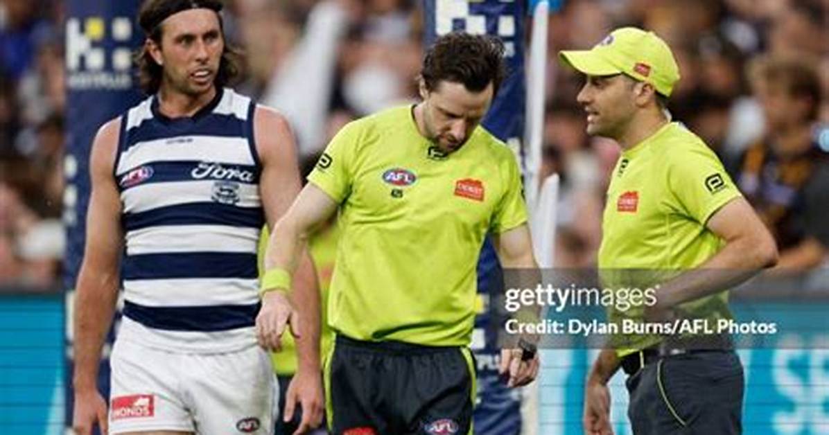 Who Is Brendan Hosking Afl Umpire? 5 Facts on Grand Final Debutant